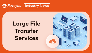 large-file-transfer-service